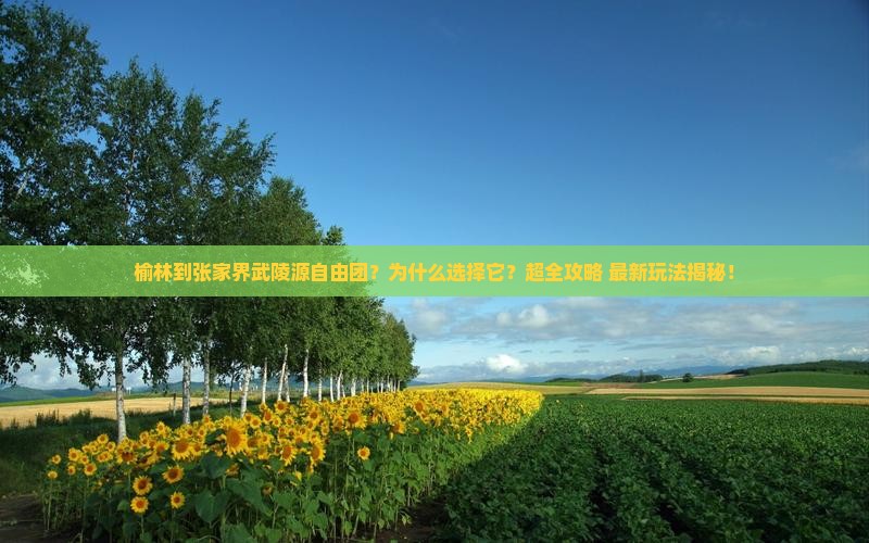 榆林到张家界武陵源自由团