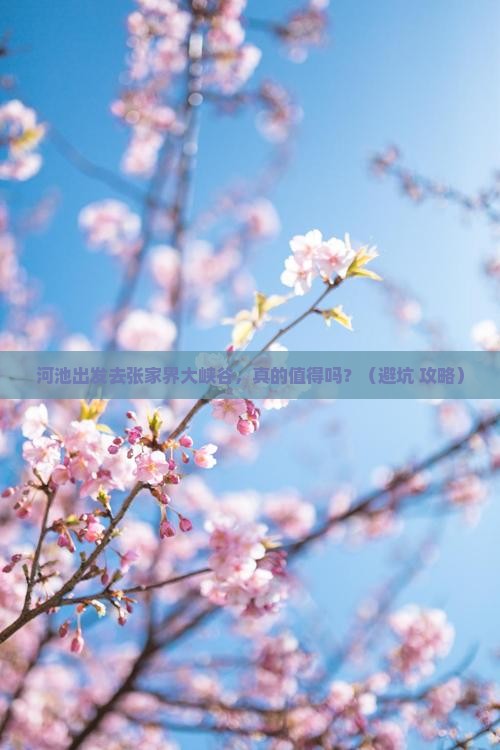 河池到张家界大峡谷自由行