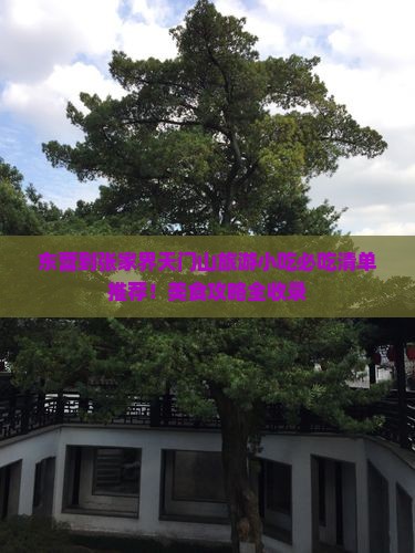 东营到张家界天门山旅游小吃
