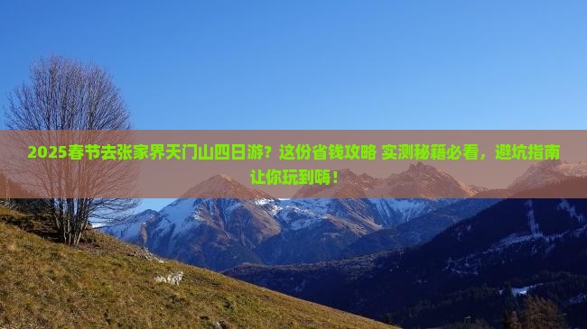 春节去张家界天门山四日游