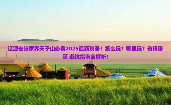 辽源去张家界天子山哪里玩