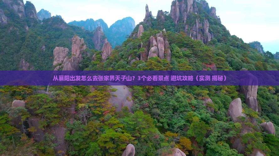 襄阳到张家界天子山景点