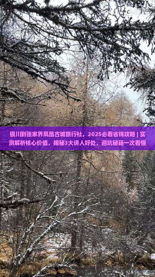 银川到张家界凤凰古城旅行社