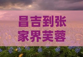 昌吉到张家界芙蓉镇自由团