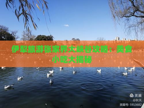 伊犁哈萨克去张家界大峡谷旅游小吃