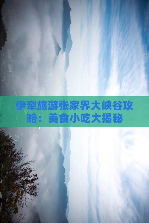 伊犁哈萨克去张家界大峡谷旅游小吃