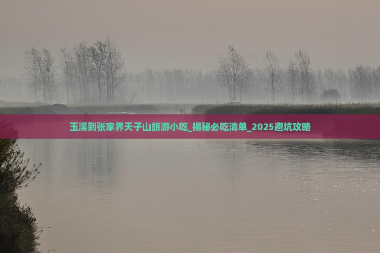 玉溪到张家界天子山旅游小吃