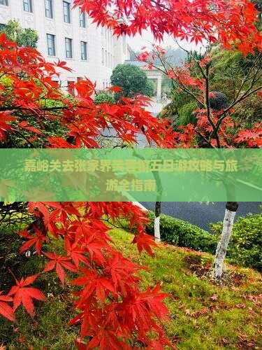 嘉峪关去张家界芙蓉镇五日游