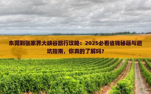 东莞到张家界大峡谷旅行社