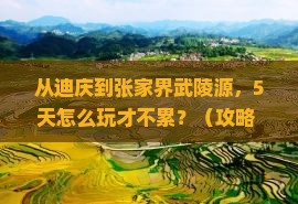 迪庆去张家界武陵源自由行