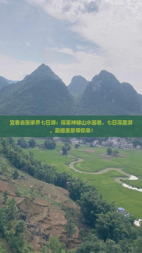 宜春去张家界七日游
