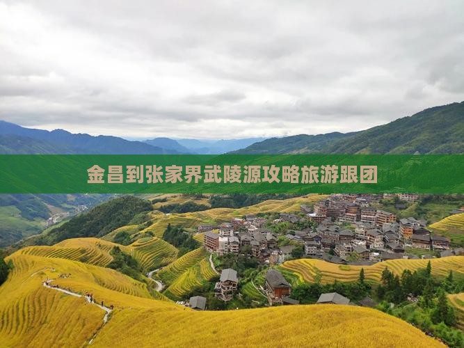 金昌到张家界武陵源自由团