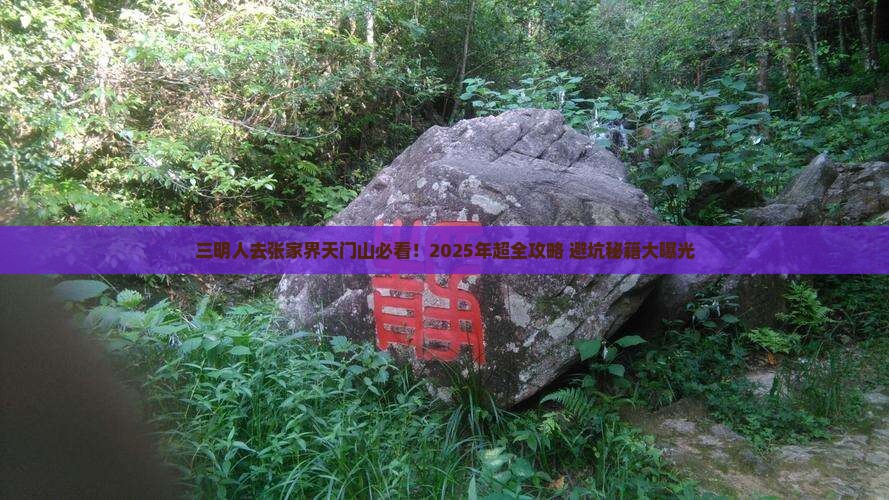 三明去张家界天门山旅行社