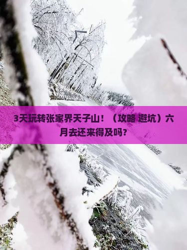 六月到张家界天子山旅行社
