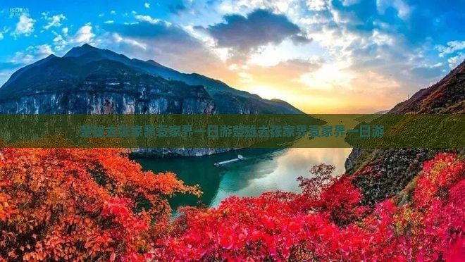 楚雄去张家界袁家界一日