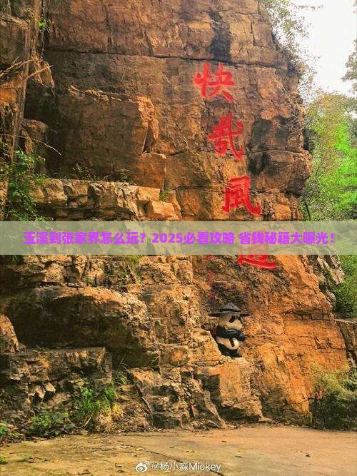 玉溪到张家界旅游