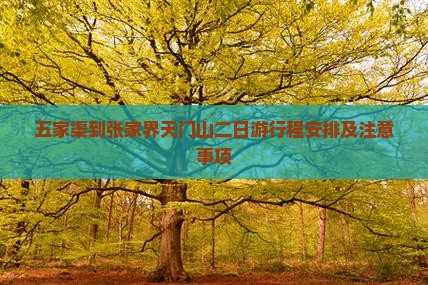 五家渠到张家界天门山二日游