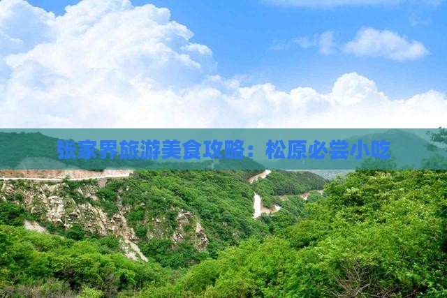 松原去张家界大峡谷旅游小吃