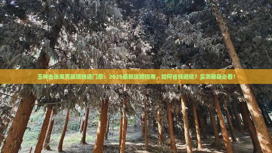玉林去张家界玻璃栈道门票
