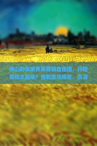 佛山到张家界芙蓉镇自由团