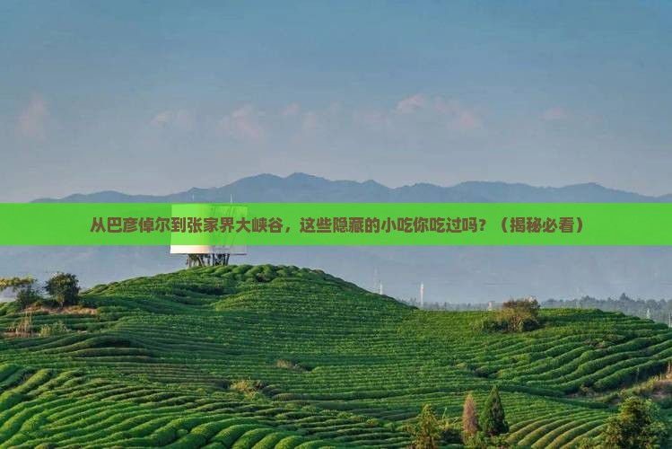 巴彦倬尔到张家界大峡谷旅游小吃