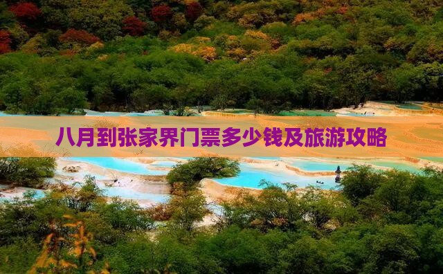 八月到张家界门票