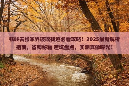 铁岭去张家界玻璃栈道必去地