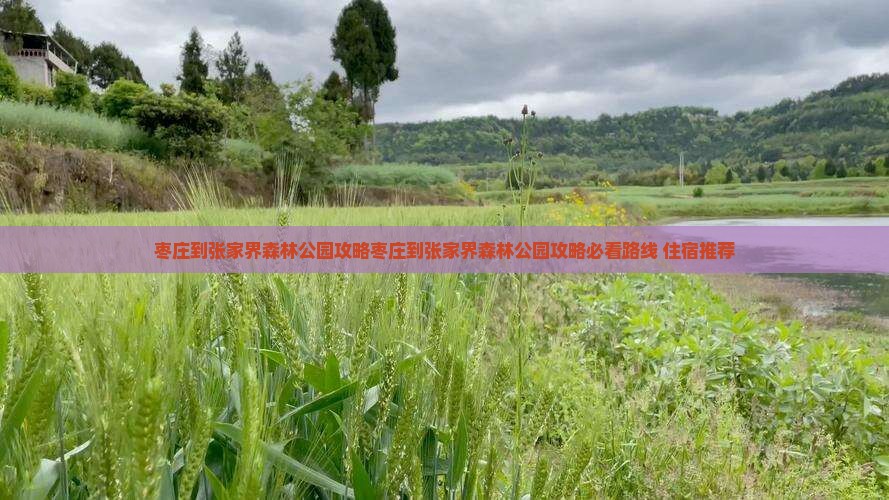 枣庄到张家界森林公园攻略