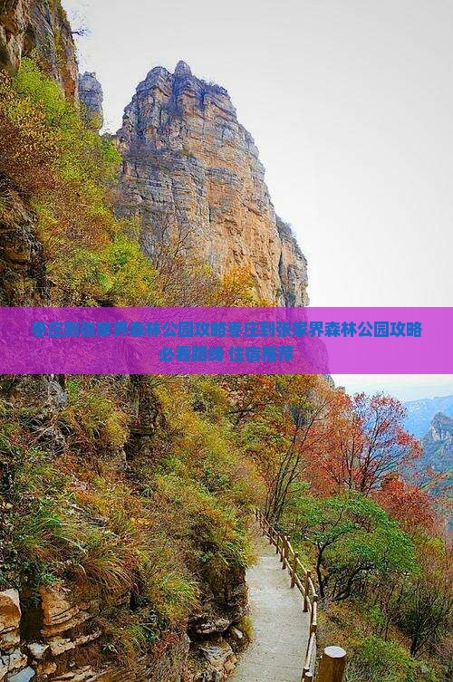枣庄到张家界森林公园攻略