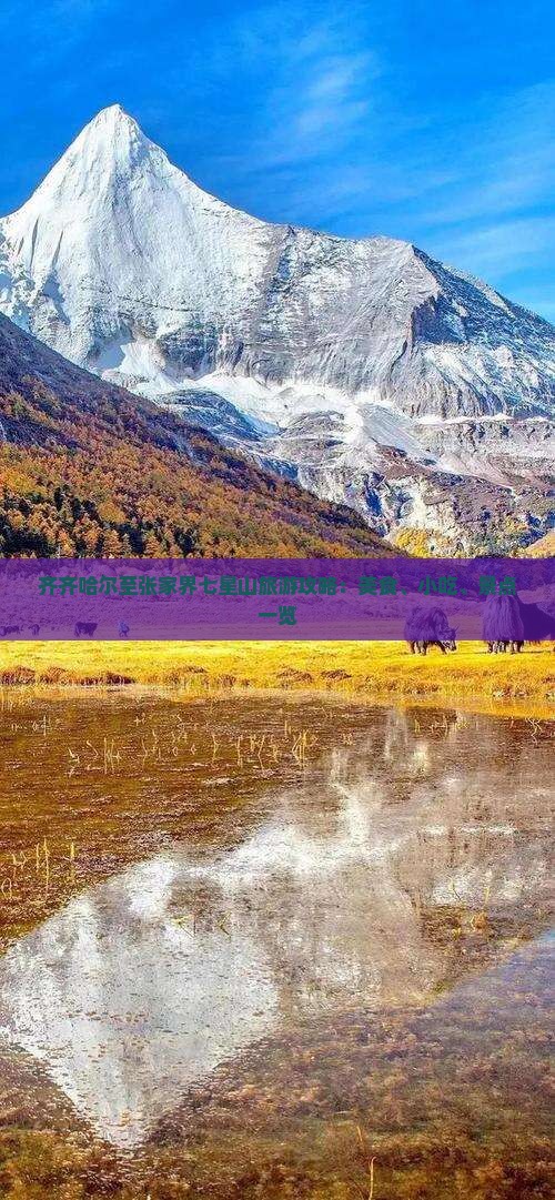 齐齐哈尔至张家界七星山旅游攻略：美食、小吃、景点一览