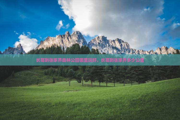 长葛到张家界森林公园哪里玩好，长葛到张家界多少公里