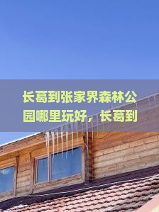长葛到张家界森林公园哪里玩好，长葛到张家界多少公里