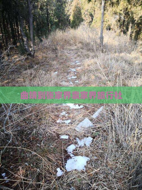 曲靖到张家界袁家界旅行社