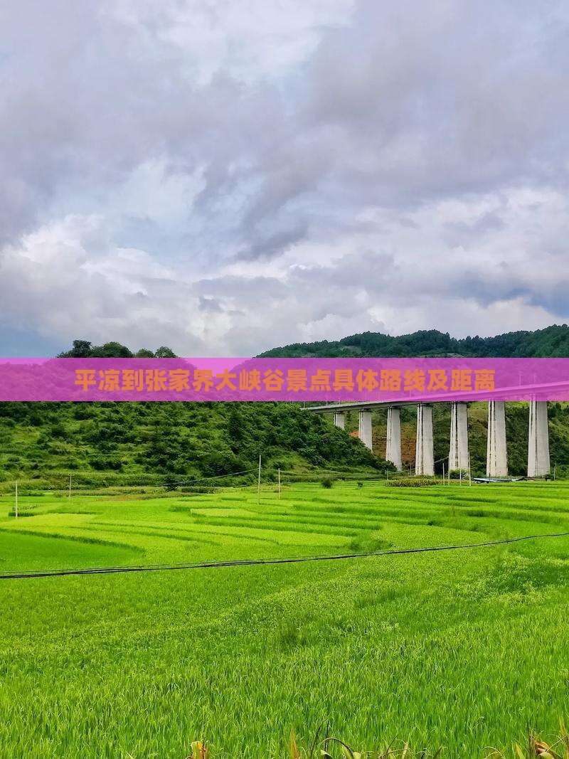平凉到张家界大峡谷景点具体路线及距离