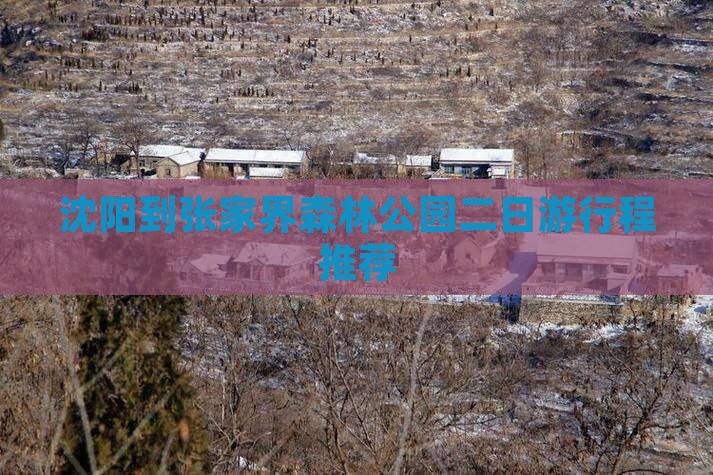 沈阳到张家界森林公园二日游行程推荐