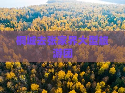 桐城去张家界大型旅游团