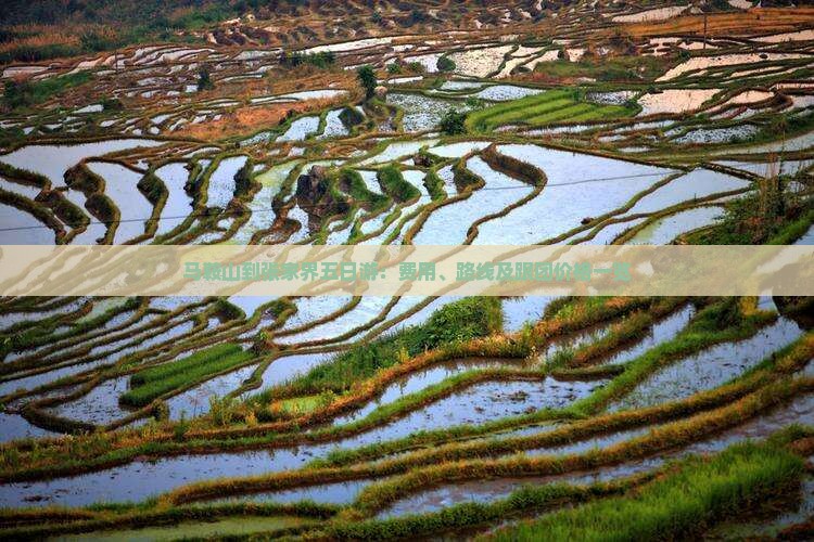 马鞍山到张家界五日游：费用、路线及跟团价格一览