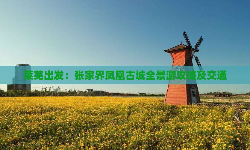 莱芜出发：张家界凤凰古城全景游攻略及交通