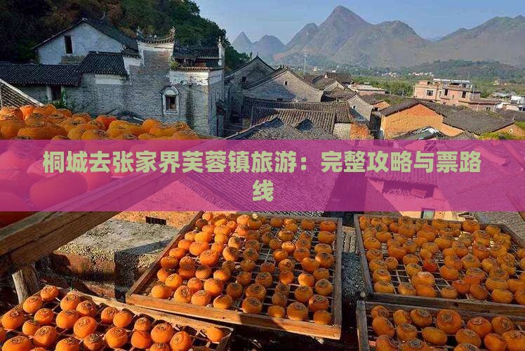 桐城去张家界芙蓉镇旅游：完整攻略与票路线