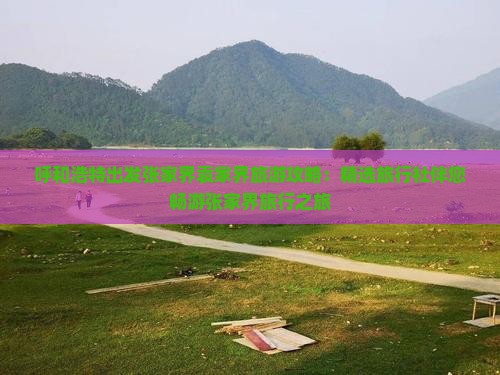 呼和浩特出发张家界袁家界旅游攻略：精选旅行社伴您畅游张家界旅行之旅