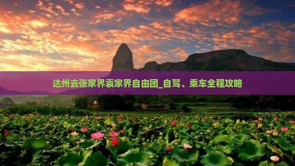 达州去张家界袁家界自由团_自驾、乘车全程攻略