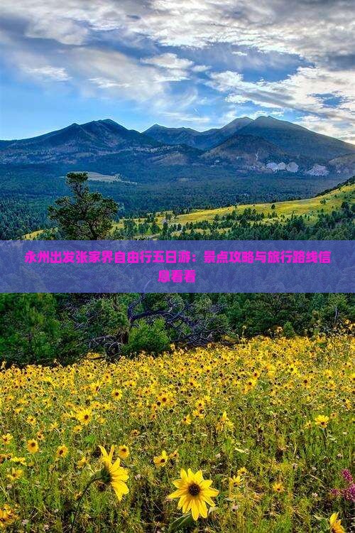 永州出发张家界自由行五日游：景点攻略与旅行路线信息看看