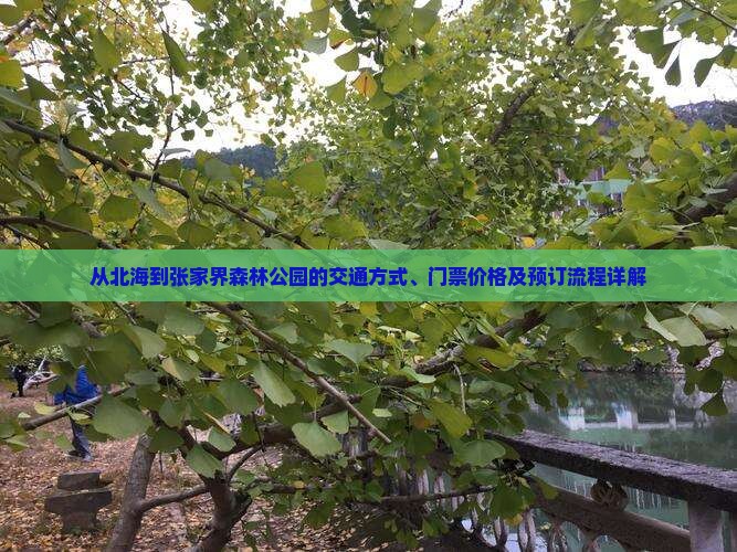北海到张家界森林公园门票
