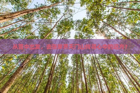 晋中到张家界天门山旅行社 晋中到张家界天门山旅行社