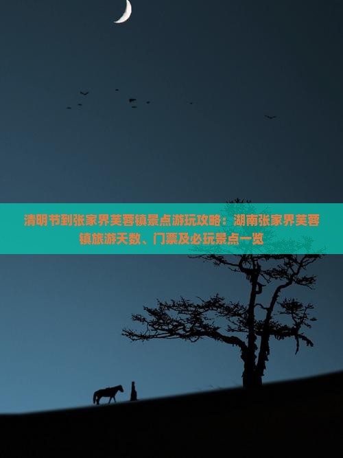 清明节到张家界芙蓉镇景点