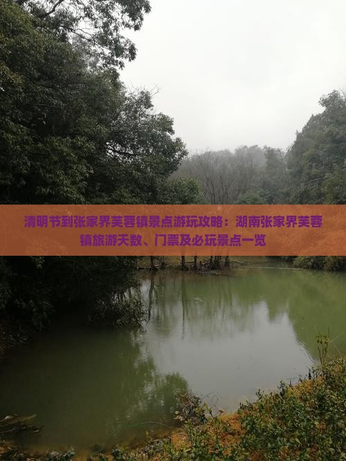 清明节到张家界芙蓉镇景点