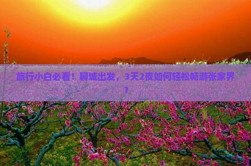 聊城去张家界三日游