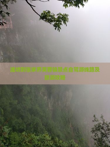潍坊到张家界芙蓉镇景点