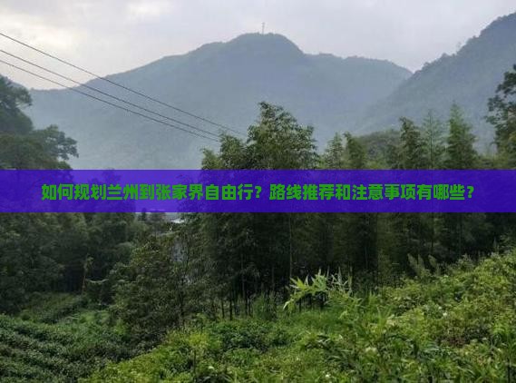 兰州去张家界自由行
