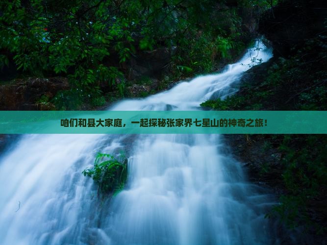 和县去张家界七星山团体旅游